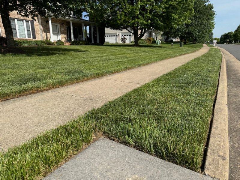 Lawn care service results in the Shenandoah Valley