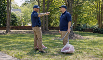 Pet waste removal service